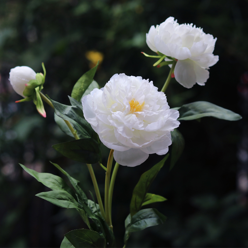 高档牡丹花芍药仿真花假花客厅摆件餐厅装饰花瓶套装绢花干花摆设 - 图0