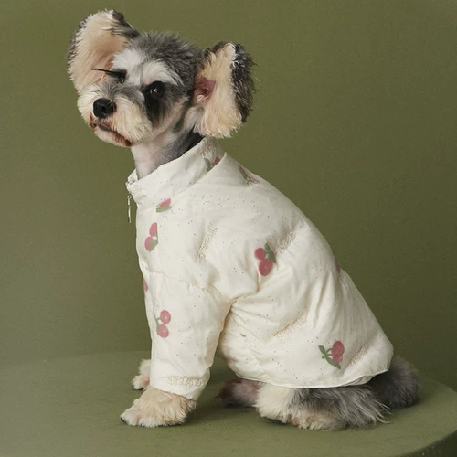 Демисезонный удерживающий тепло милый пуховик с пухом, осенний сезон, увеличенная толщина