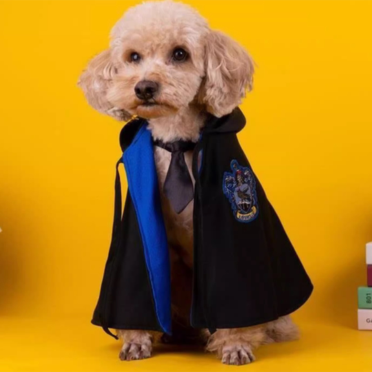 Halloween cosplay Harry Potter pet clothes