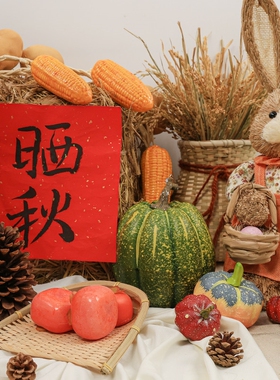 创意秋收装饰落地摆件提篮幼儿园场景布置植物角环创晒秋景观摆设