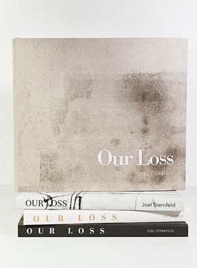 OurLoss书籍装饰摆件简约现代