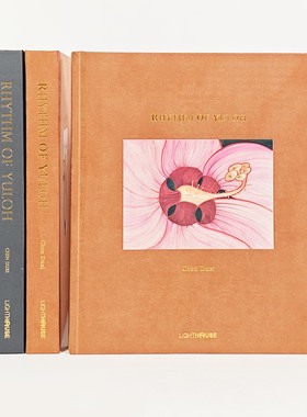 现代简约样板间装饰真书摄影照片小众鉴赏书房书柜摆件摄影道具