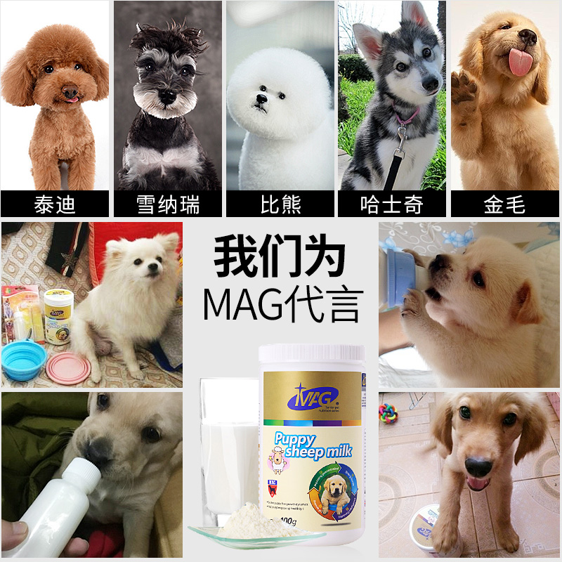 MAG羊奶粉宠物山羊奶粉新生幼犬柯基比熊小狗狗泰迪幼狗奶粉