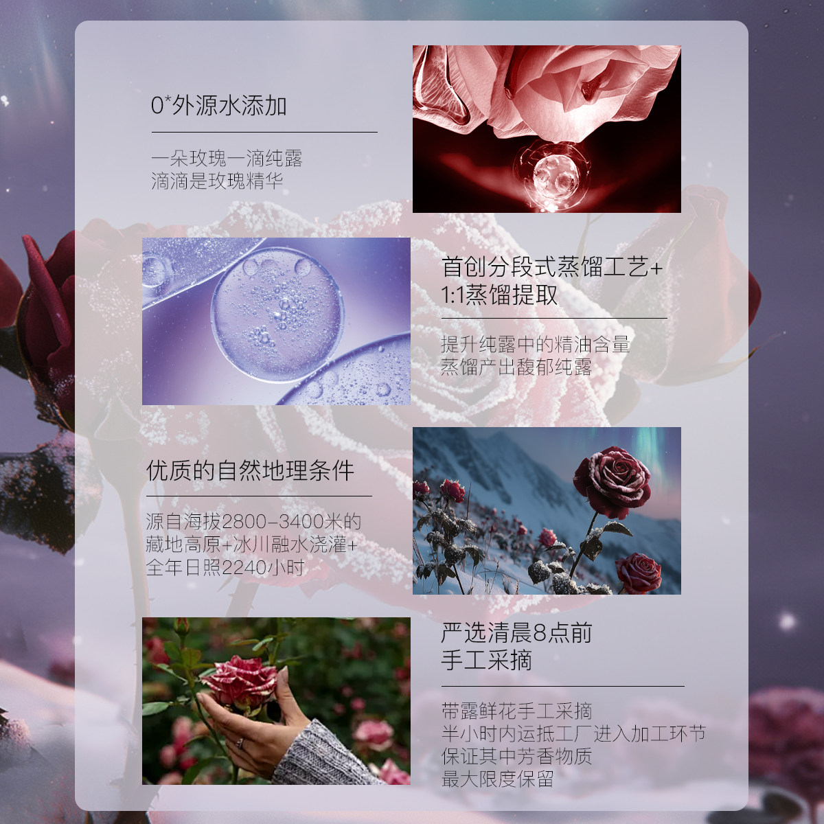 阿芙极光光感玫瑰纯露300ml 爽肤水补水保湿官方旗舰店官网正品,淘宝优惠券,粉丝福利购,淘宝优惠卷