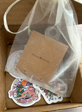 bm项链女生新款超细精致锁骨链choker国内代购正品brandymelville