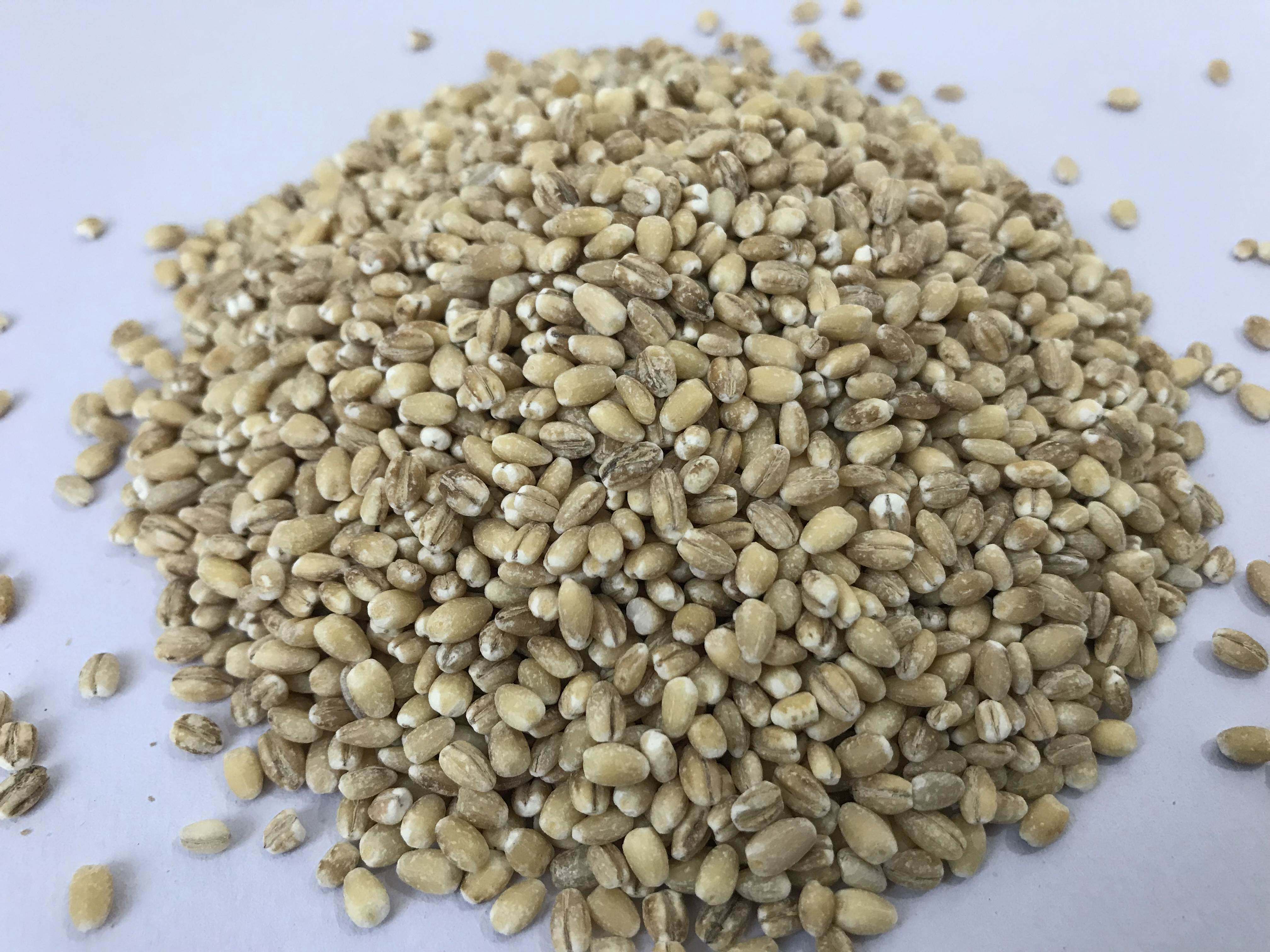 大麦米是麦仁吗,小麦麦仁米的效作用,麦仁不泡可以直接煮吗_大山谷图库