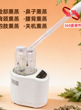 中药熏蒸仪器热喷蒸脸蒸汽熏蒸机药水药材熏蒸机煮艾草水家用店用