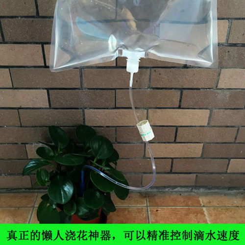 自动浇花器懒人家用浇水神器出差旅行滴水器阳台植物滴灌渗水器 - 图2