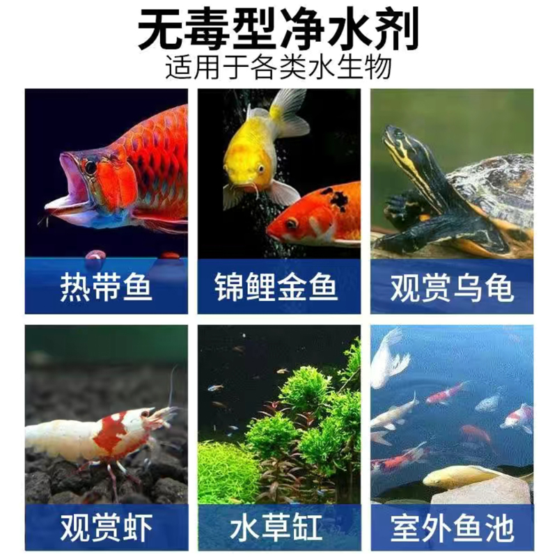 鱼缸净水剂一滴清水立清特清水质清澈澄清净化水杀菌清洁剂净水王 - 图1