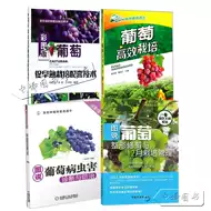 巨峰葡萄种植 新人首单立减十元 21年8月 淘宝海外