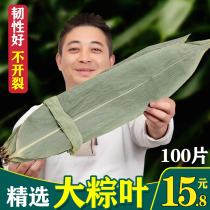 Rice Dumplings Free Mail Fresh Large 100 slices of leaf Leaf Bag Zongzis Leaf Extra-large Zongzi Leaf Dry Large local brown leaf