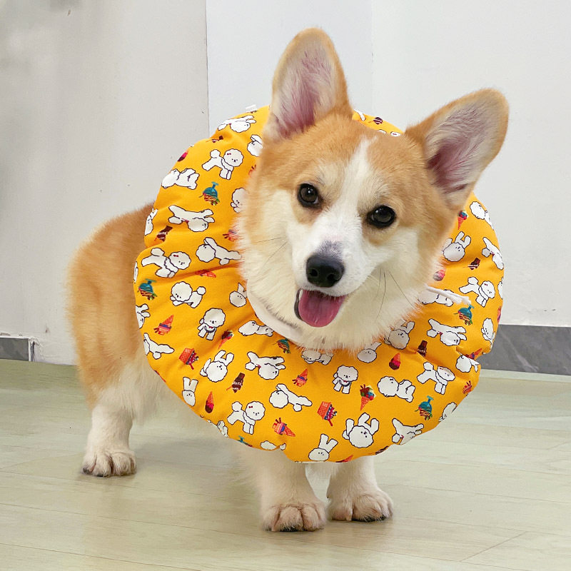 宠物伊丽莎白圈猫咪狗狗头套项圈耻辱圈绝育专用脖套防舔软圈用品,淘宝优惠券,粉丝福利购,淘宝优惠卷