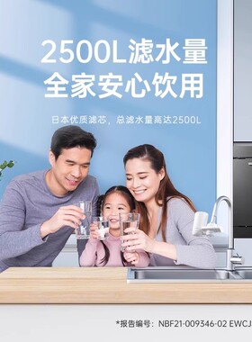 松下日本进口滤材龙头净水器滤芯