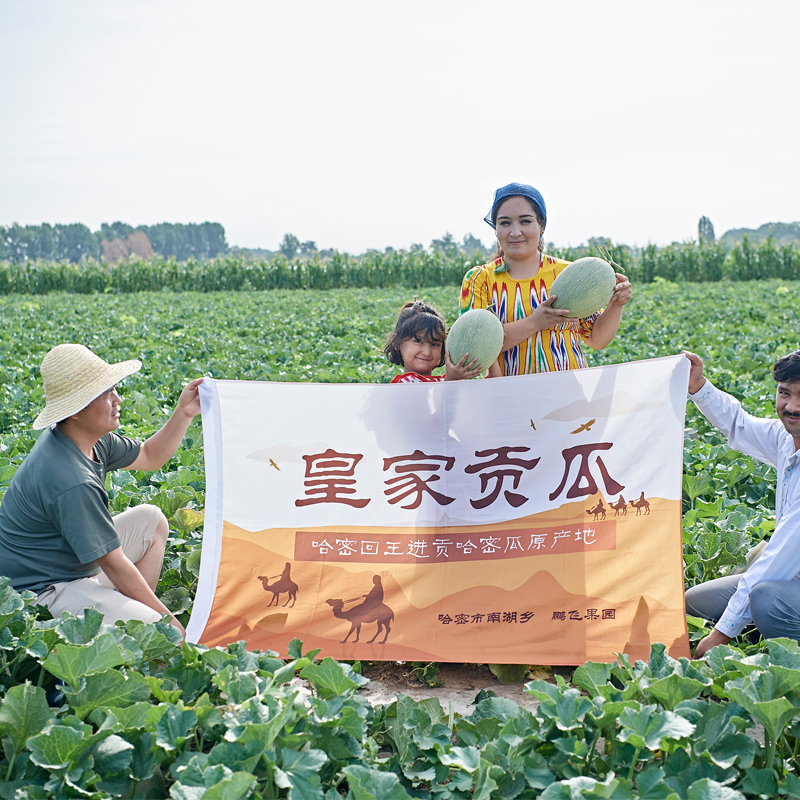 新疆哈密瓜新鲜水果应当季25号甜瓜网纹吐鲁番西州蜜整箱10斤包邮-图2