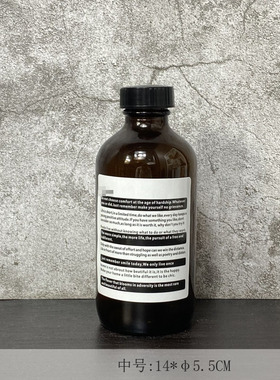 ins洗浴瓶乳液分装瓶洗手液空瓶子洗发水沐浴露按压式北欧风家用