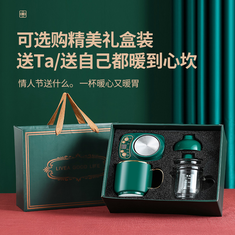 美规家用迷你智能养生杯陶瓷多功能煮泡花茶杯电热杯炖杯110V礼品