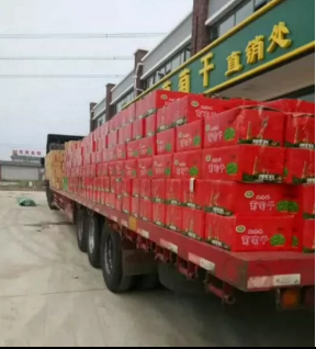 自然色休闲零食三斤包邮 绿色 免洗 新疆吐鲁番特产无核葡萄干 自然色休闲零食三斤包邮 绿色 免洗 新疆吐鲁番特产无核葡萄干