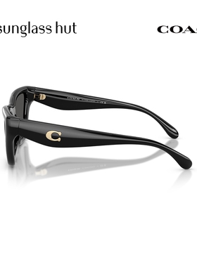 COACH/蔻驰【2026春夏新品】太阳镜女款墨镜猫眼形眼镜0HC8449U