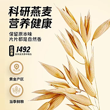 农科院世壮高纤即食燕麦片400g早餐速食[2元优惠券]-寻折猪
