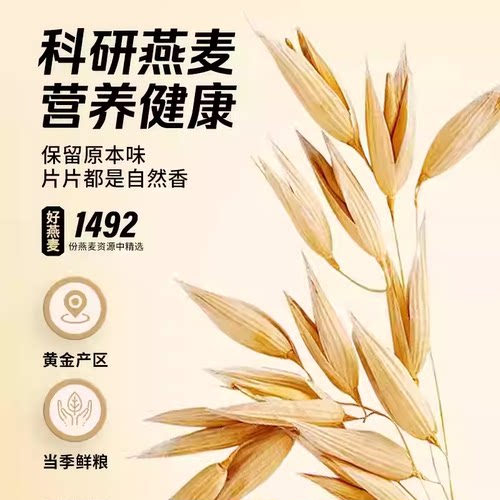 400g中国农科院世壮燕麦早餐冲饮纯高纤即食燕麦片冲泡免煮燕麦片 - 图3