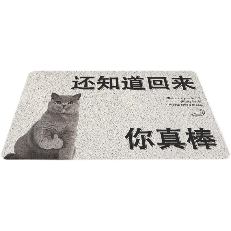 起贝定制猫咪活着回来就行入户门垫进门地毯门口玄关除尘丝圈脚垫 - 图3