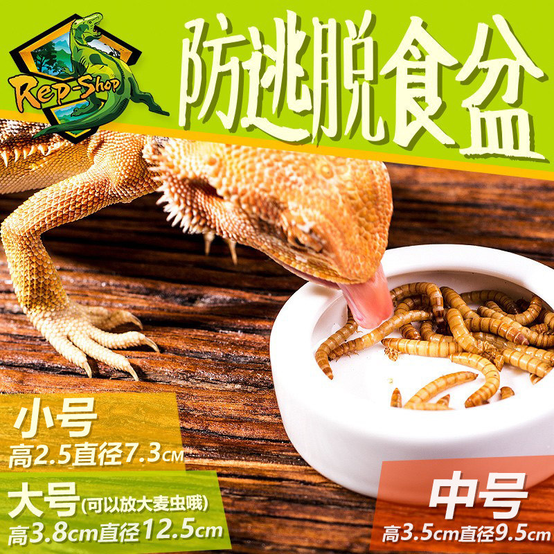 爬虫防逃逸食盆爬宠守宫鬃狮活体饲料面包虫大麦虫防逃脱超SUDO,淘宝优惠券,粉丝福利购,淘宝优惠卷