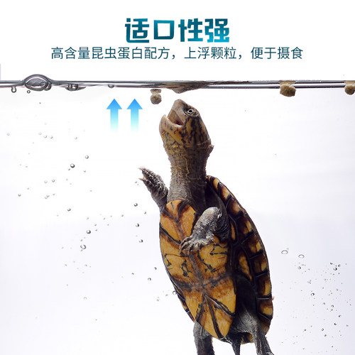 Rep-Shop乌龟粮巴西龟草龟蛋龟幼龟开口粮水龟半水龟食物调理肠胃 - 图2