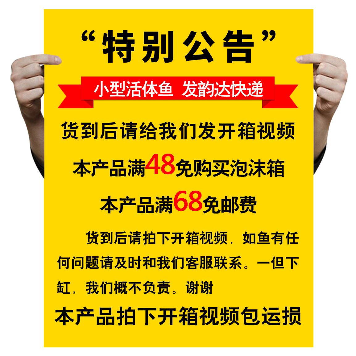 台湾纯种短身蝴蝶龙鲤活体观赏鱼热带锦鲤风水鱼龙鱼冷水配鱼广温 - 图0