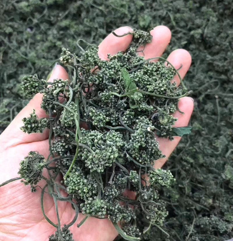 人参花茶新鲜晒干500g长白山西洋参花1斤东北野生特级散装人参花 品森堂养生馆 淘优券 人参花茶新鲜晒干500g长白山西洋参花1斤东北野生特级散装人参花 品森堂养生馆 淘优券