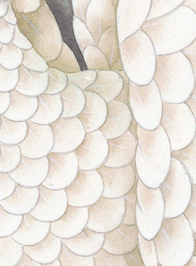 董希源松鹤朝阳高清微喷工笔松鹤图装饰画传统工笔花鸟仙鹤临摹稿