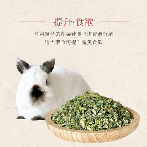 【潇洒小宠】芹菜干 调理肠道 增强食欲 清肠利便清热解毒50g - 图0