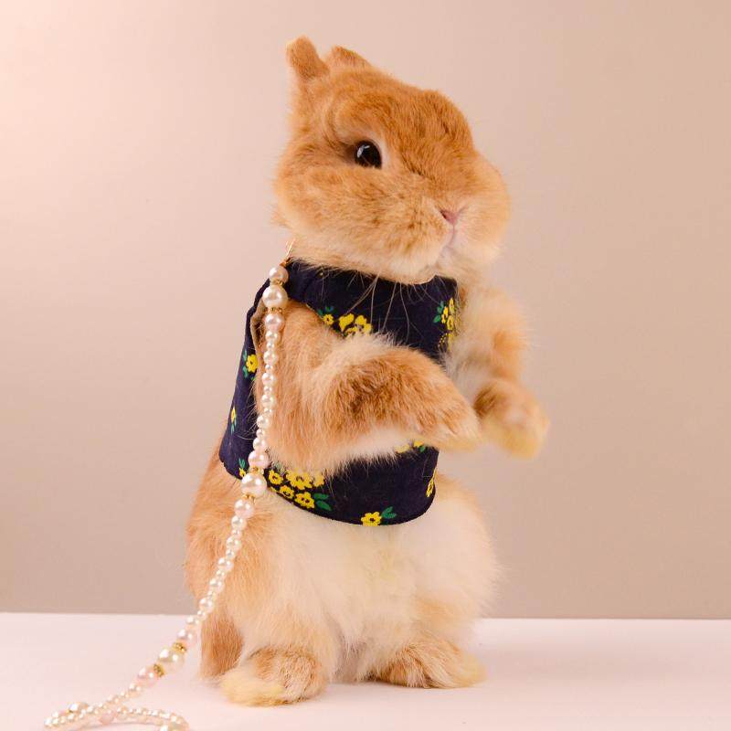 日系藏青色兔兔衣服马甲背心可爱裙子装扮外出俏皮宠物服饰牵引绳,淘宝优惠券,粉丝福利购,淘宝优惠卷