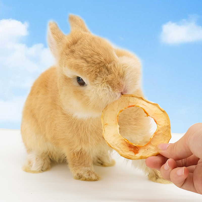 兔子水果零食苹果干猕猴桃干仓鼠龙猫小宠无花果干木瓜丝排毛零嘴 - 图0