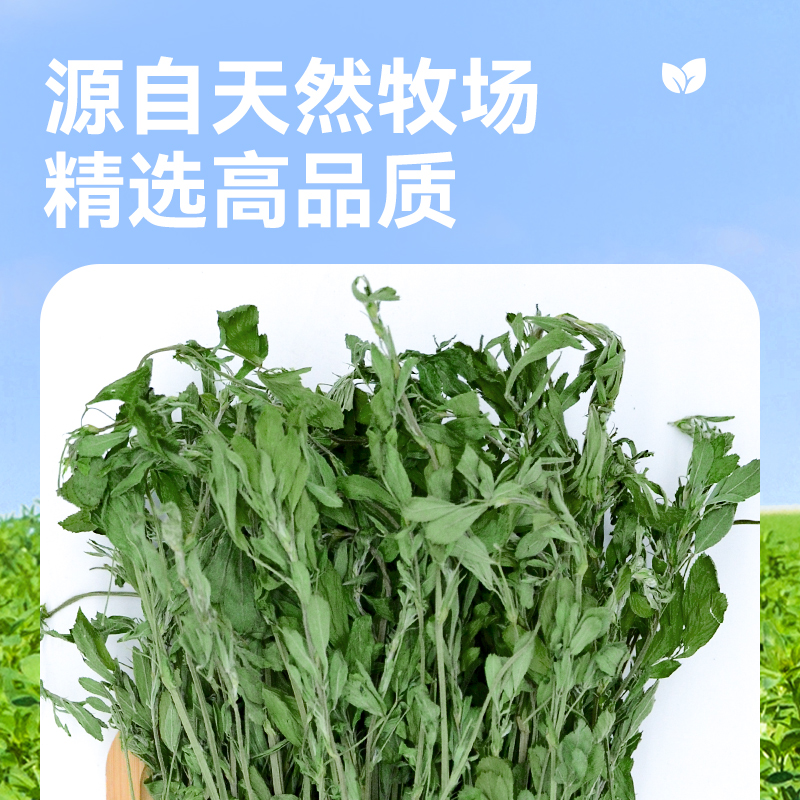 2024新烘干紫花苜蓿草干草毛重750g兔子龙猫豚鼠干草牧草兔子粮草 - 图1