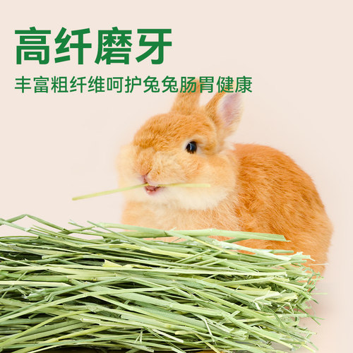 美国安德森美提真空包装提摩西草一番二番提草牧草兔子草豚鼠干草 - 图2