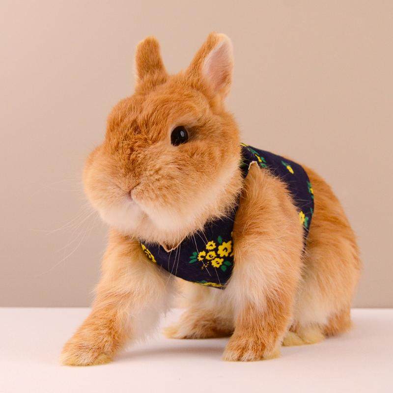 日系藏青色兔兔衣服马甲背心可爱裙子装扮外出俏皮宠物服饰牵引绳,淘宝优惠券,粉丝福利购,淘宝优惠卷