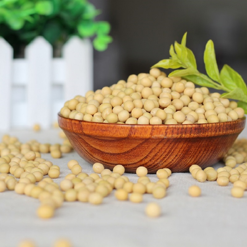 秦禾汉麦熟黄豆打豆浆专用即食现磨五谷杂粮早餐烘焙豆子熟豆料包商用袋装2