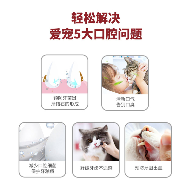 孜宠 日本KOJIMA猫咪牙刷牙膏套装可食用除口臭宠物牙齿清洁用品 - 图2