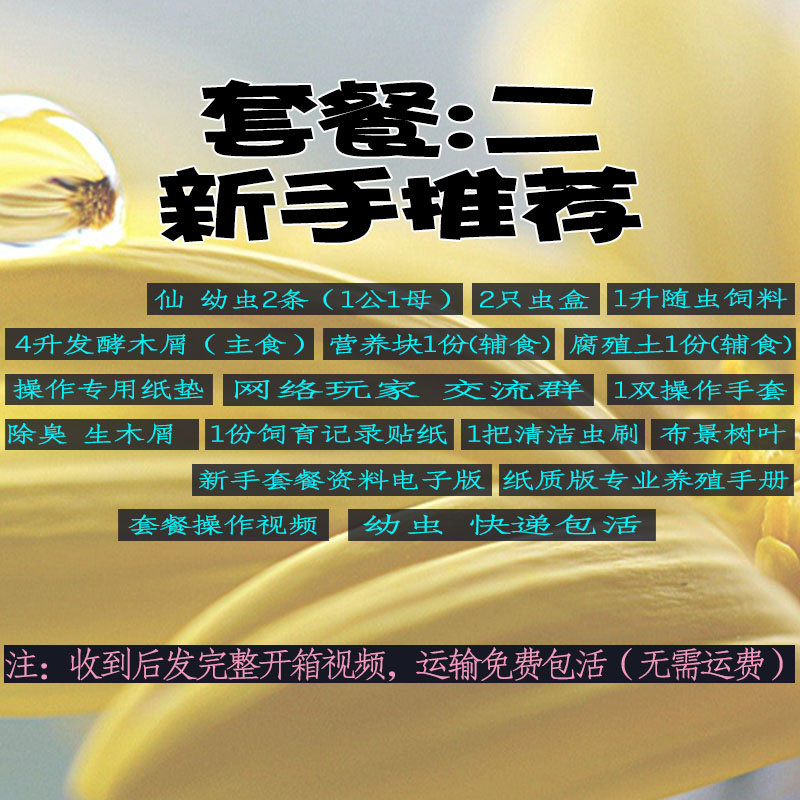 独角仙幼虫活虫饲养套装甲虫宠物成虫活物昆虫锹甲木屑食物饲养盒,淘宝优惠券,粉丝福利购,淘宝优惠卷