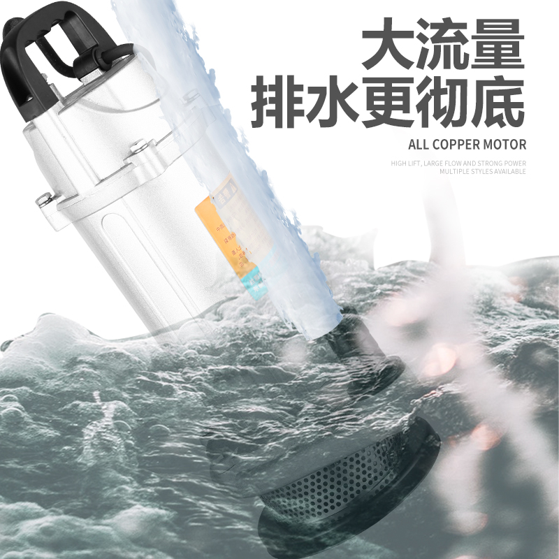 上海高扬程大流量潜水泵高扬程220V小型家用抽水泵农用灌溉清水泵