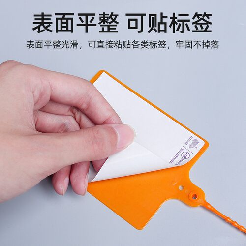 【插挂牢固 拒绝丢件】彩色物流吊牌挂签一次性大号快运标牌扎带 - 图0