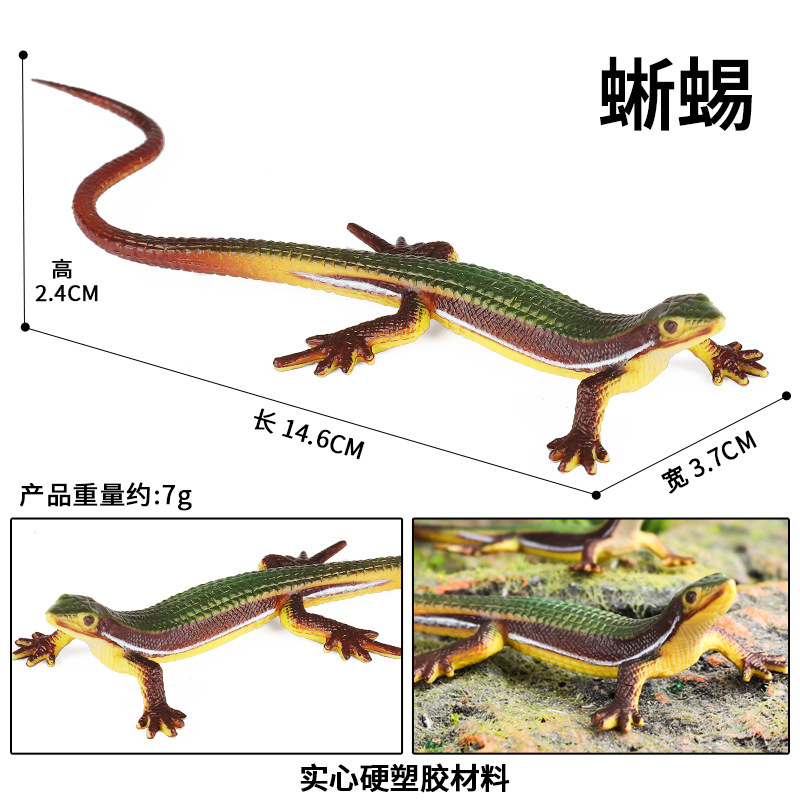 儿童仿真动物爬行动物蜥蜴玩具草蜥四脚蛇石龙子守宫科教模型-图1