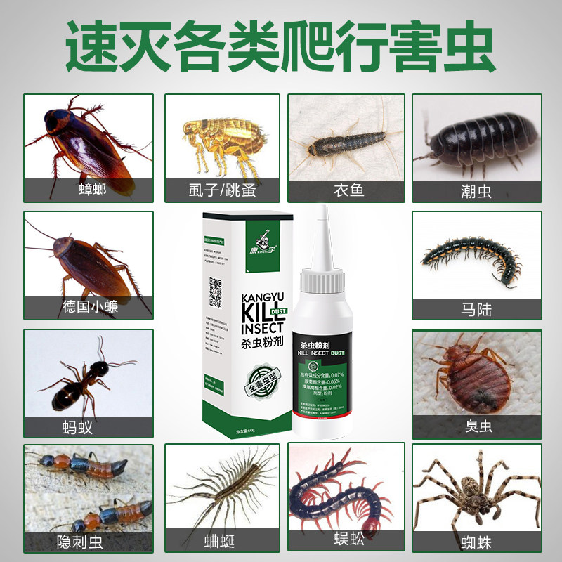 家用室内驱虫用品灭蚂蚁跳蚤蟑螂药 康宇家居灭鼠/杀虫剂
