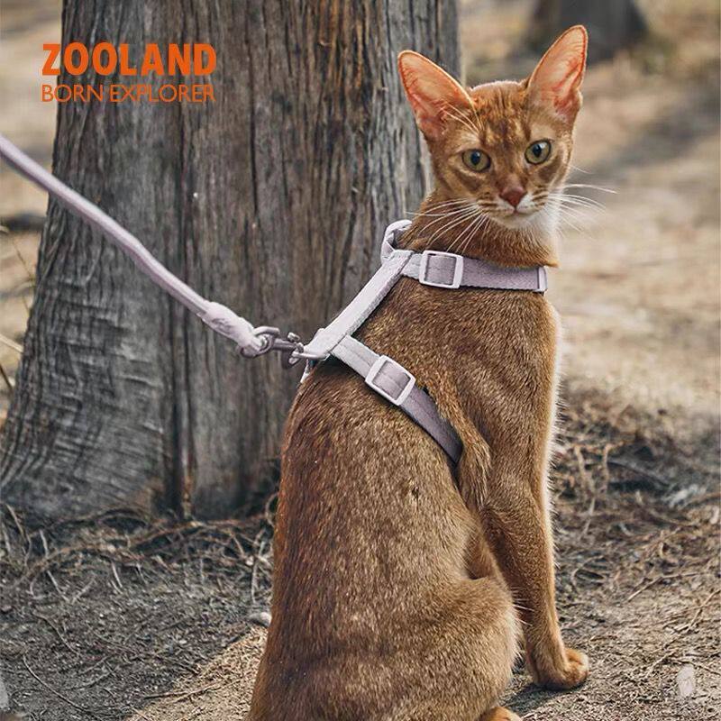 ZOOLAND猫咪通用胸背牵引绳防挣脱遛猫绳子小猫可调节工字型胸背,淘宝优惠券,粉丝福利购,淘宝优惠卷