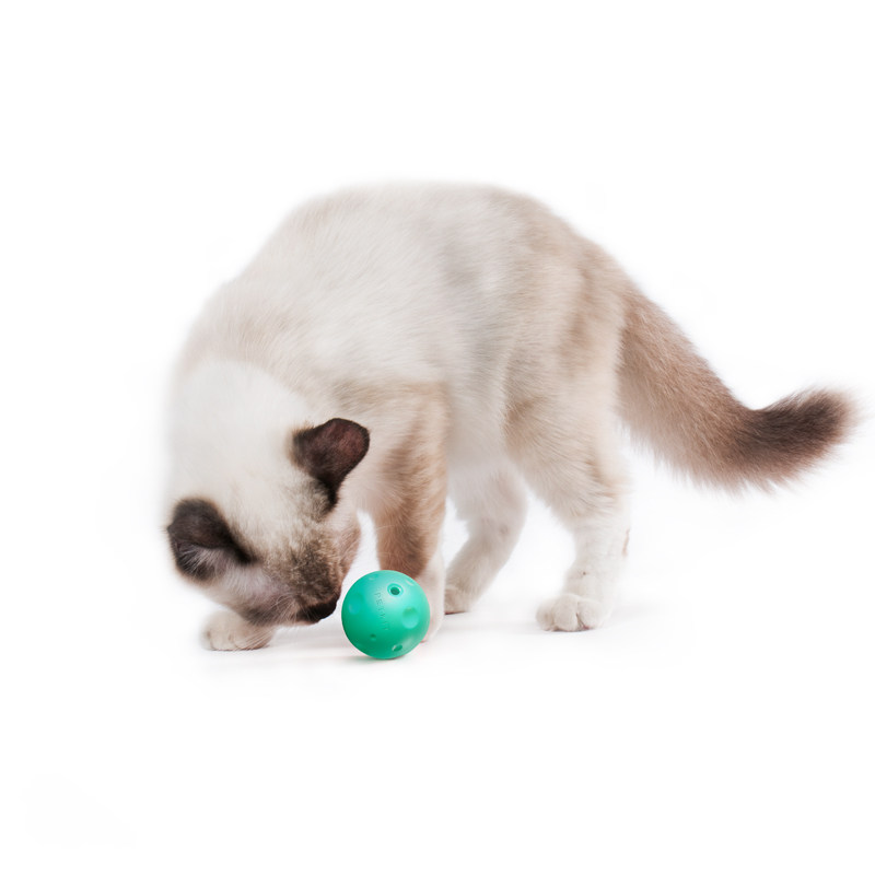 小佩喵星球猫玩具铃铛球猫薄荷逗猫球猫咪玩具球自嗨宠物用品3只,淘宝优惠券,粉丝福利购,淘宝优惠卷