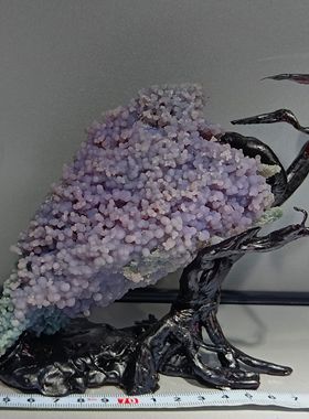 8 奇石摆件 玛瑙戈壁石木化石太湖石 原石带底座观赏石文玩收藏品