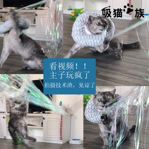 吸猫族仙女魔法棒亮条穗逗猫棒长杆小猫猫咪磨牙玩具流苏耐咬有声 - 图1