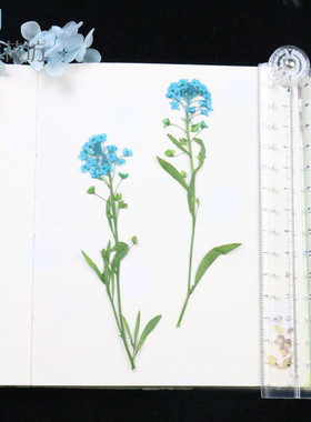 押花干花植物标本鲜花diy手机壳