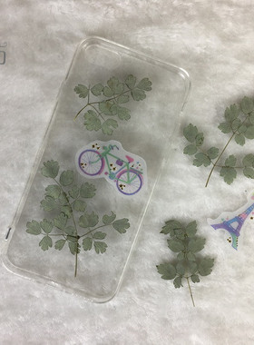 唐松草树叶diy手机壳天然干花
