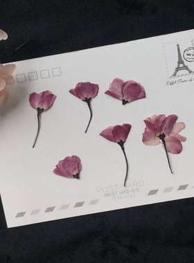 樱花干花DIY滴胶植物标本压花